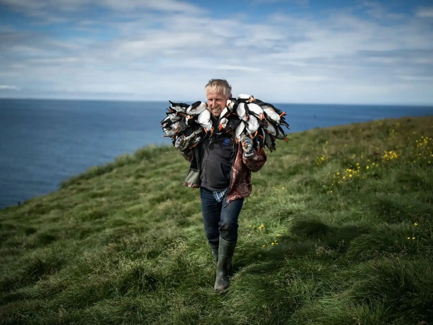 Arnanes Country Hotel A man stands on a grassy cliff by the sea, carrying numerous dead birds draped over his shoulders. Hofn South Iceland