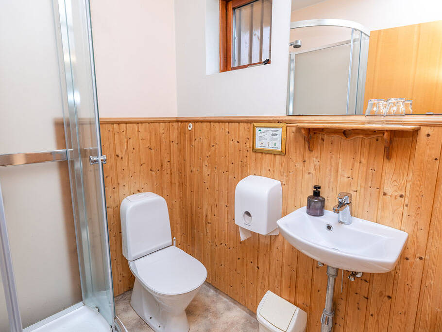 Arnanes Country Hotel Small bathroom with a toilet, washbasin, soap dispenser, paper towel holder, and a glass shower enclosure. Walls are wood-panelled with a small window near the ceiling. Hofn South Iceland