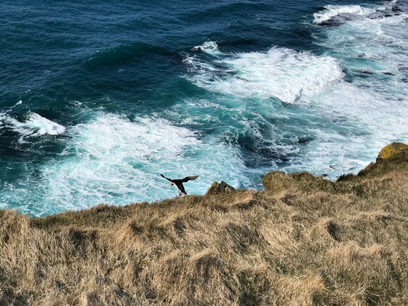 Arnanes Country Hotel Person standing on grassy cliff with arms outstretched above waves crashing against rocks below, under a blue ocean sky. Hofn South Iceland