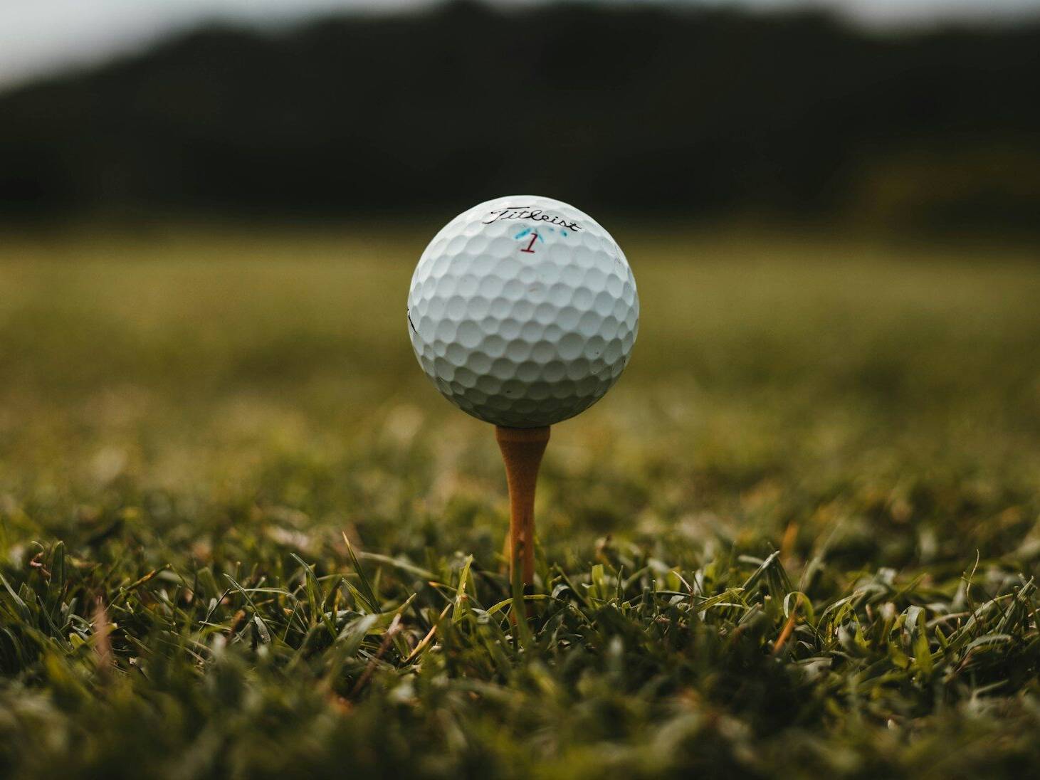 closeup photo of white golf ball